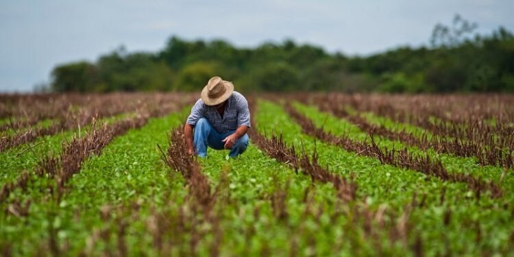 Campeche siembra su nueva era: arranca megaproyecto para rescatar al campo