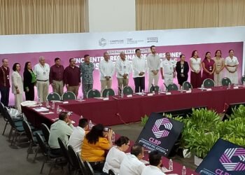 ¿Y si tu familiar faltara? Esta es la nueva estrategia para la red de búsqueda