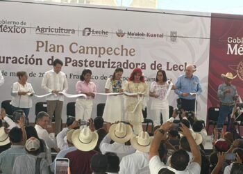 Campeche, el nuevo gigante lechero del sureste: apunta a liderar producción