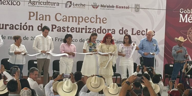Campeche, el nuevo gigante lechero del sureste: apunta a liderar producción