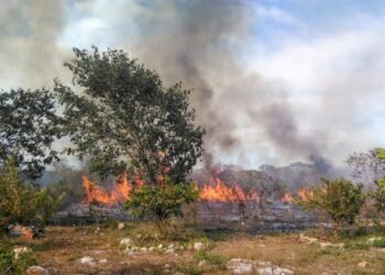¿Qué está pasando en Siglo XXI? Enorme incendio desata caos vial
