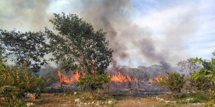 ¿Qué está pasando en Siglo XXI? Enorme incendio desata caos vial