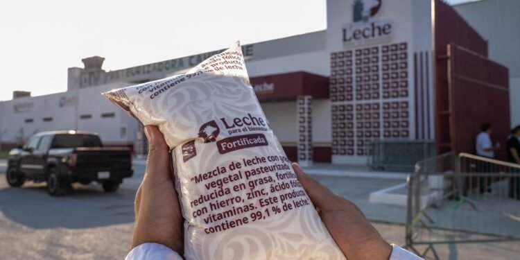 ¿Adiós a la leche importada? Campeche apuesta por autosuficiencia nacional