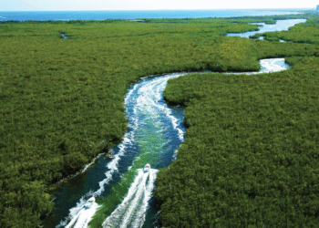 Semarnat exhibe irregularidades ambientales en proyecto de Royal Caribbean
