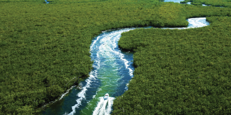 Semarnat exhibe irregularidades ambientales en proyecto de Royal Caribbean
