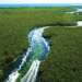 Semarnat exhibe irregularidades ambientales en proyecto de Royal Caribbean