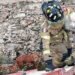 Llegan a rescatar a perrito atrapado después de más de 72 horas. ¡Pero ya no era uno, eran tres! Así fue