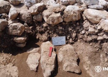 Conoce lo que el Tren Maya está sacando a la luz