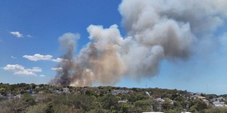 Infierno urbano: voraz incendio moviliza a bomberos y provoca cierre carretero