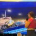 Campeche vuelve a mirar al mar: un barco revivirá tres siglos de gloria naval