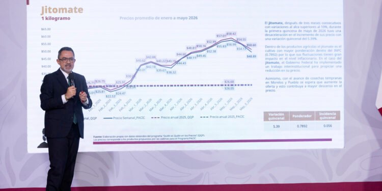 ¿Cuándo bajará el precio del jitomate? Sheinbaum pone fecha a nuevas medidas