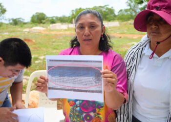 ¿Despojo o disputa? Familias exigen investigar fraude de tierras en Pomuch