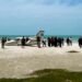¿Qué pasó en Playa Norte? Una avioneta aterriza de emergencia, pasajeros se salvan