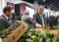 México blinda el “oro verde” michoacano con nuevo reconocimiento de origen