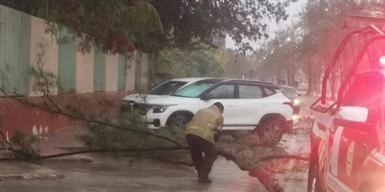 ¿Qué municipios están en riesgo? Fuertes vientos y tormentas mantienen la alerta