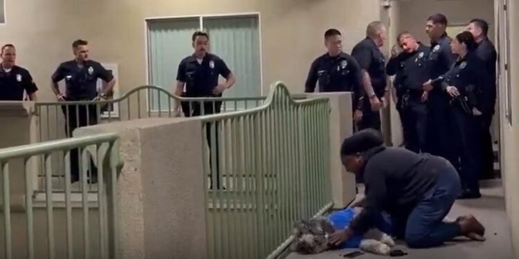 Miles exigen justicia para Jameson: el perro que murió en una intervención policial