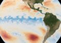 Alertan por El Niño; ya está aquí y podría ubicarse entre los más fuertes registrados en décadas