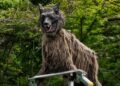 No es un robot cualquiera; este “lobo” fue creado para enfrentar a los osos