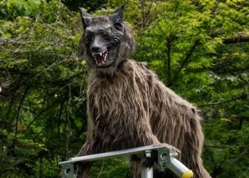 No es un robot cualquiera; este “lobo” fue creado para enfrentar a los osos