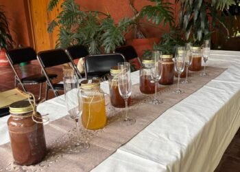 De la Selva Maya al supermercado; así buscan llevar la miel de Calakmul a todo México