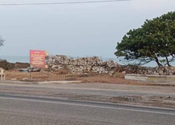 ¿Quién abandonó las osamentas? Hallazgo en la carretera moviliza a las autoridades