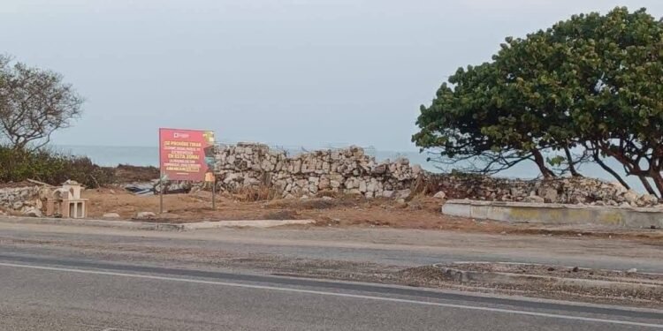¿Quién abandonó las osamentas? Hallazgo en la carretera moviliza a las autoridades
