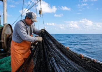 Buscan salvar a las tortugas marinas de las redes de pesca; capacitarán a 1,500 pescadores
