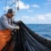 Buscan salvar a las tortugas marinas de las redes de pesca; capacitarán a 1,500 pescadores