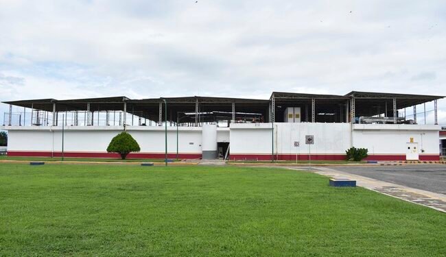 La planta que producirá millones de moscas contra el gusano barrenador ya tiene fecha de apertura