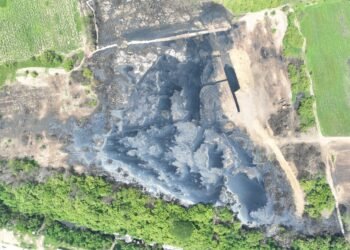 Esto es lo que autoridades han descubierto de la muerte de peces en Veracruz