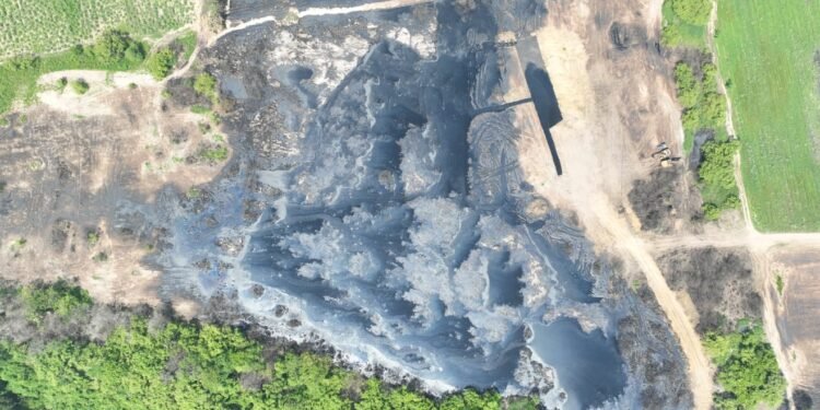 Esto es lo que autoridades han descubierto de la muerte de peces en Veracruz