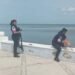 A segundos de una tragedia; rescatan a perrito al borde de la muerte en el malecón de Campeche