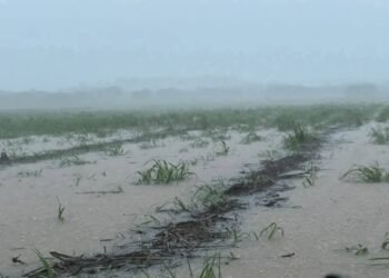 ¡No solo lluvia! Granizada toma por sorpresa a pobladores de Calakmul