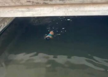 ¡Se metió a nadar entre cocodrilos! Hombre desata movilización de emergencia en Ciudad del Carmen