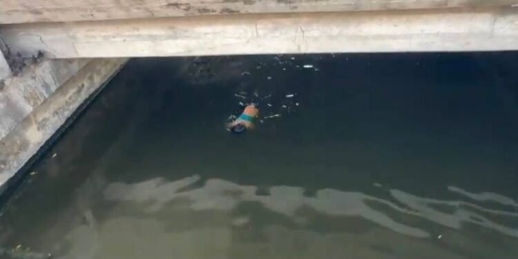 ¡Se metió a nadar entre cocodrilos! Hombre desata movilización de emergencia en Ciudad del Carmen