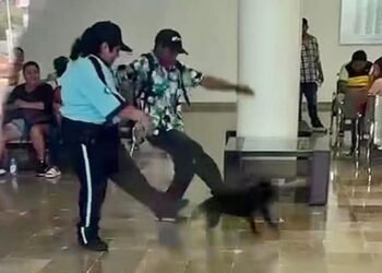 ¡Indignación total! Perrita busca techo de la lluvia y termina maltratada