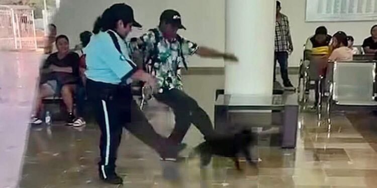 ¡Indignación total! Perrita busca techo de la lluvia y termina maltratada