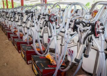 ¿Puede la innovación transformar la ganadería? En Carmen ya comenzó el cambio