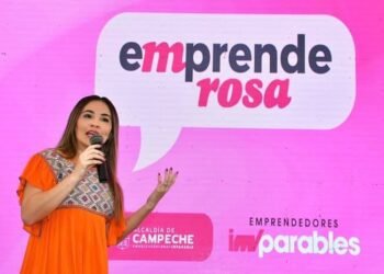 No todo fue color de rosa: detectan riesgos en programa para mujeres y le ponen freno