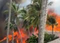 ¿Hubo heridos? Esto es lo que se conoce del incendio en Viva Dominicus