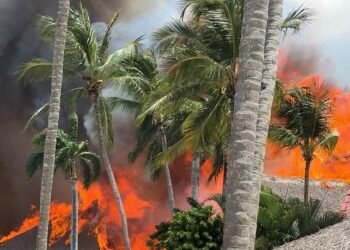 ¿Hubo heridos? Esto es lo que se conoce del incendio en Viva Dominicus