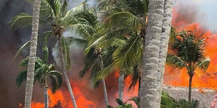 ¿Hubo heridos? Esto es lo que se conoce del incendio en Viva Dominicus