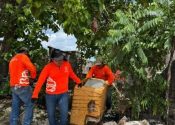 ¿Vives en una zona propensa a inundaciones? Así se refuerza la prevención