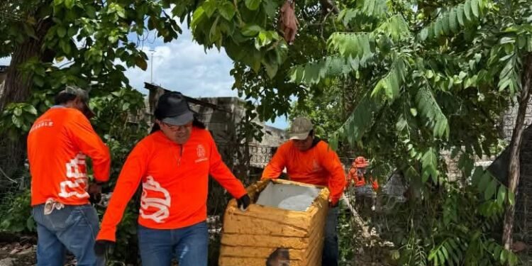 ¿Vives en una zona propensa a inundaciones? Así se refuerza la prevención