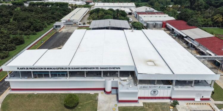 Esto debes saber sobre la planta que México y EU inauguraron en Chiapas