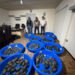 Así hallaron 350 tortugas que iban ocultas en paquetes; 25 no sobrevivieron al viaje