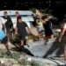 La costa se recupera, pero crece la polémica: ¿quién tiene la razón?