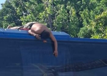 Tomó una siesta… ¡pero eligió el techo del autobús! Esta imagen alarmó a vecinos