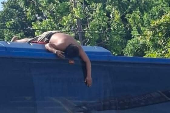 Tomó una siesta… ¡pero eligió el techo del autobús! Esta imagen alarmó a vecinos