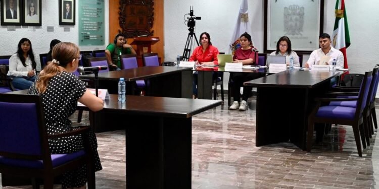 ¿Quiénes aspiran a fortalecer la transparencia en Campeche? Aquí te lo decimos